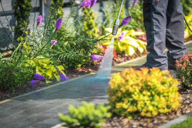 Best Parking Lot and Garage Cleaning  in St Jaco, IL